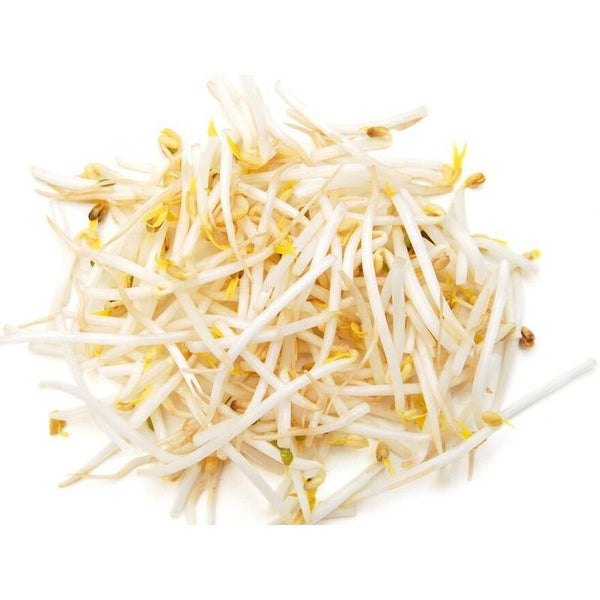 Beansprouts (300 grams)-Vegetables-Sedap.sg-Sedap.sg