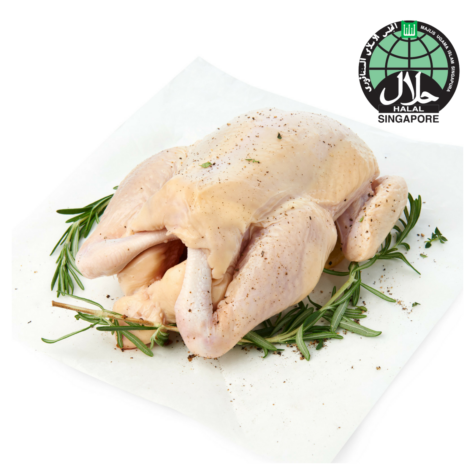 https://www.sedap.sg/cdn/shop/products/Fresh-Whole-Chicken-1_3kg-Fresh-Chicken-Sedap_sg-No-cut.png?v=1655891798