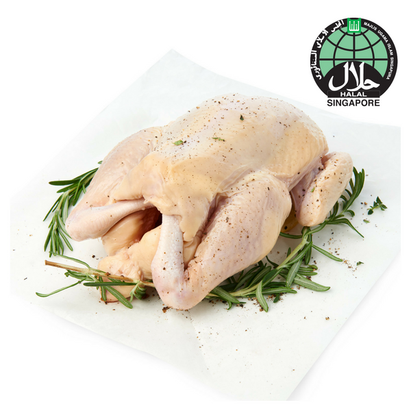 Fresh Whole Chicken (1.2kg)-Fresh Chicken-Sedap.sg-Sedap.sg